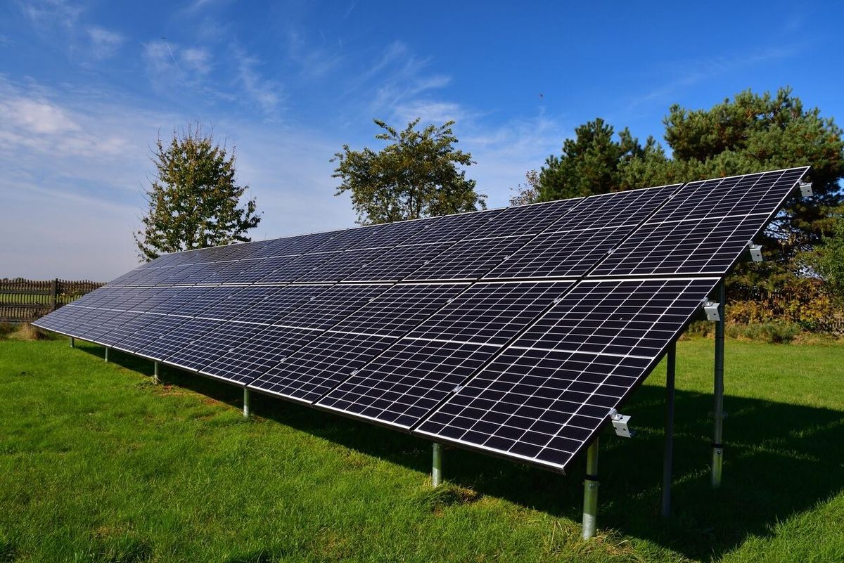 Freilandanlage in Holland